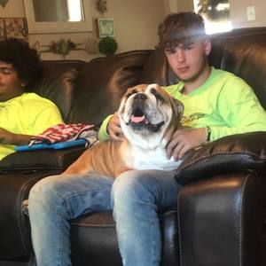 Meet your Posher, Brent